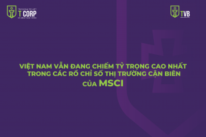 VIỆT NAM VẪN ĐANG CHIẾM TỶ TRỌNG CAO NHẤT TRONG CÁC RỔ CHỈ SỐ THỊ TRƯỜNG CẬN BIÊN CỦA MSCI