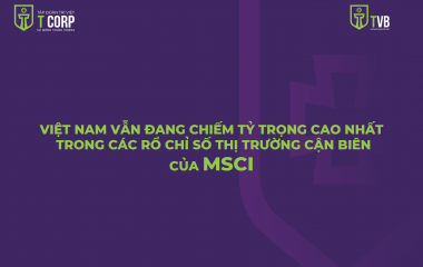 VIỆT NAM VẪN ĐANG CHIẾM TỶ TRỌNG CAO NHẤT TRONG CÁC RỔ CHỈ SỐ THỊ TRƯỜNG CẬN BIÊN CỦA MSCI