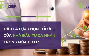 ĐÂU LÀ LỰA CHỌN TỐI ƯU CỦA NHÀ ĐẦU TƯ CÁ NHÂN TRONG MÙA DỊCH?