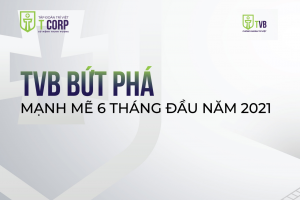 CHỨNG KHOÁN TRÍ VIỆT (TVB) BỨT PHÁ MẠNH MẼ 6 THÁNG ĐẦU NĂM 2021️