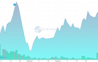 GẦN 55 TRIỆU CỔ PHIẾU TVB CHUẨN BỊ 
