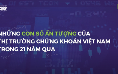 NHỮNG CON SỐ ẤN TƯỢNG CỦA THỊ TRƯỜNG CHỨNG KHOÁN VIỆT NAM TRONG 21 NĂM QUA
