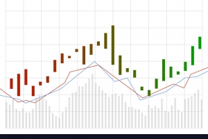 TVB Thông báo DMKQ - HSX tháng 04/2019 (06/05/2020)