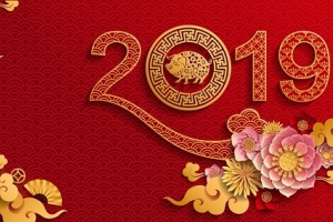 TVB Thông báo nghỉ Tết Âm lịch Kỷ Hợi 2019 (31/01/2019)
